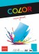 ELCO      Office Color Papier         A4 - 74616.32  80g, intensiv blau   100 Blatt