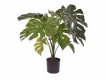 Botanic-Haus Kunstpflanze Monstera, 80 cm, Produkttyp: Topfpflanze