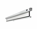 Celexon Rollo-Leinwand Eco 280x280 cm 1:1, Leinwandtyp