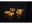Bild 2 Star Trading Lichterkette Glow 100 cm, Gold, Betriebsart