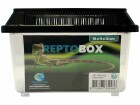 Repto Kunststoffterrarium Breedingbox S, 18 x 11 x 12