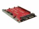 Roline SSD RAID Adapter 2x