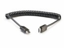 Atomos Kabel Full HDMI 4K60p 40-80 cm, ZubehÃ¶rtyp: Kabel