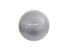 Schildkröt Fitness Gymnastikball 65 cm, Durchmesser: 65 cm, Farbe: Silber