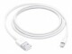 Immagine 4 Apple USB 2.0-Kabel USB A - Lightning 1 m