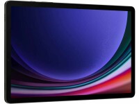 Samsung Galaxy Tab S9 5G 256 GB Schwarz, Bildschirmdiagonale