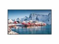 Panasonic Public Display TH-43SQE2W 43", Bildschirmdiagonale: 43 "