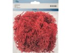 Glorex Moos Island Rot, Farbe: Rot, Moos