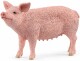 Farm World: Schwein