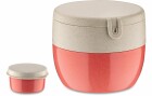 Koziol Lunchbox Bento M Rot, Materialtyp: Biokunststoff