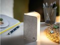 Gingko LED Stimmungslicht Mini Smart Book Grau, Betriebsart: USB