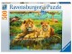 Ravensburger Puzzle Löwen in
