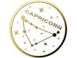 PopSockets Halterung Premium Capricorn, Befestigung: Kleben