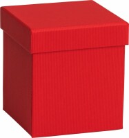STEWO Geschenkbox One Colour 2551784390 rot 11x11x12cm, Dieses