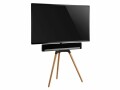 CE-Scouting CE Soundbar Halterung My Wall HZ16 Schwarz, Detailfarbe