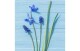 Paper + Design Servietten Blue Flowers