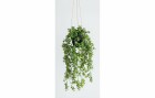 Botanic-Haus Kunstpflanze Eukalyptus hängend 58 cm, Produkttyp