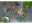 Image 7 Gardena Gartenschere HerbCut, Schnittbreite: 52 mm, Scherentyp