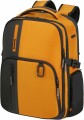 Samsonite Biz2Go Backpack [15.6 inch] Daytrip