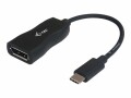 i-tec USB-C Display Port Adapter - Adaptateur vidéo externe