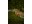 Bild 0 Star Trading Gartenlicht Firework, 14 cm 3 Stk., Betriebsart