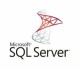 Microsoft SQL - Server Standard Core Edition