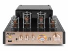 Fenton Endstufe TA60, Signalverarbeitung: Analog/Digital, Impedanz