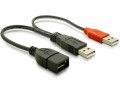 DeLock USB Y-Kabel Typ 2xA auf 1xA Buchse, 22cm. Doppelte