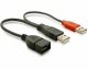 DeLock USB2.0 Y-Kabel, 2x A - A, 22cm, SW