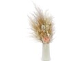 Soli Collection Trockenblumen Peach 60 cm, Weiss, Produkttyp