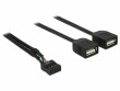 DeLock USB2.0 Pinheaderkabel 2x USB2.0 0.4 m