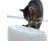 Lucky-Kitty Wasserautomat Keramik weiss