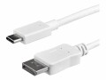 STARTECH .com 1m USB C auf DisplayPort Kabel - USB