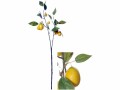 CHALET Kunstblume Zitrone 79 cm, Produkttyp: Schnittblumen und