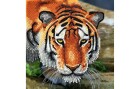 CRAFT Buddy Bastelset Crystal Art Card Tiger, Altersempfehlung ab: 8