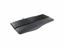 Cherry Tastatur KC 4500 ERGO US-Layout Schwarz, Tastatur Typ