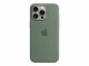 Apple iPhone 15Pro Max Si Case MS Cypres, APPLE