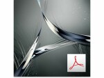 Adobe Acrobat Standard DC MP, Abo,10-49 User, 1 Jahr