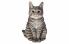 Vivid Arts Dekofigur Katze Sitzend, 19.5 cm, Grau, Eigenschaften: Keine