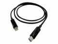 Qnap - Thunderbolt-Kabel - Mini DisplayPort (M) zu Mini