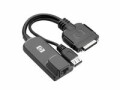 Hewlett Packard Enterprise HPE USB Interface Adapter - Video- / USB-Erweiterung