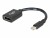 Bild 0 C2G 15cm Mini DisplayPort to DisplayPort Adapter Converter