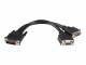 STARTECH .com DMS-59 Adapter Y Kabel - DMS59 LFH59 (DMS60/LFH60