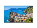 Panasonic Public Display TH-75EQ2W 75", Bildschirmdiagonale: 75 "