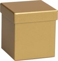 STEWO Geschenkbox One Colour 2551782090 gold 11x11x12cm