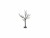 Bild 2 Sirius Baum Tora, 40 LEDs, 60 cm, Höhe: 60
