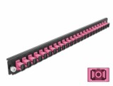 DeLock Verteilerplatte Frontblende 24 Port SC Simplex violett