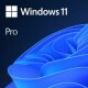 Image 1 Microsoft Windows 11 Pro Vollprodukt, OEM, deutsch, Produktfamilie