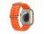 Bild 3 Apple Watch Ultra 2 Ocean Band Orange, Schutzklasse