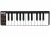 Bild 0 AKAI Keyboard Controller LPK25, Tastatur Keys: 25, Gewichtung